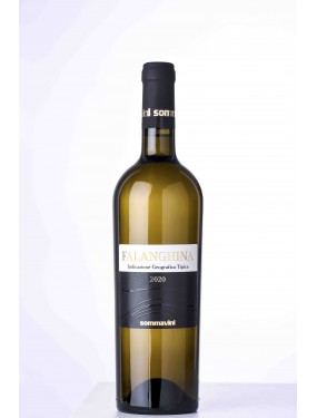 Falanghina